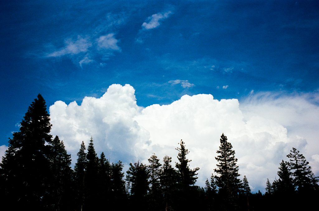 Sierras. Nikon F6 with Nikkor 35mm.