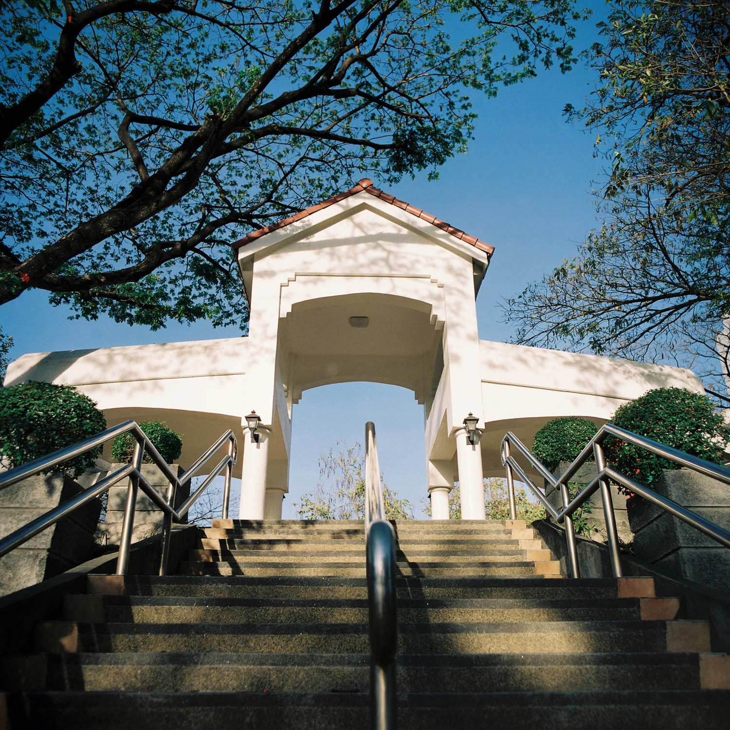 Kiev 60/Carl Zeiss Jena 50mm f4 Flektogon/Exposed at ISO 400, developed normally