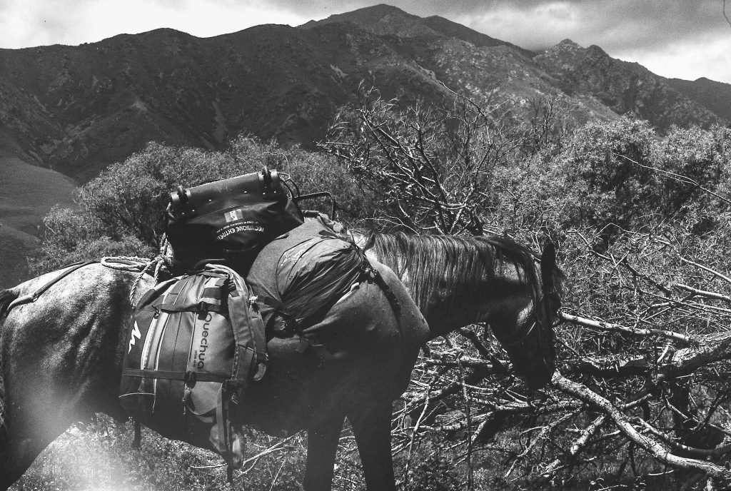 Kyrgzystan . Konica Tc Autoreflex ,50mm f1.7 Hexanon lense 35mm P30