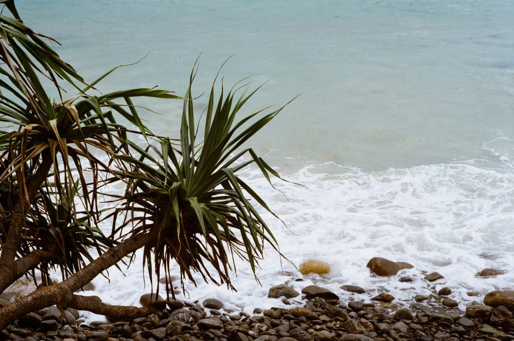 Pentax KM 50mm FujiColor 200 Wategos Beach, Byron Bay, NSW Australia