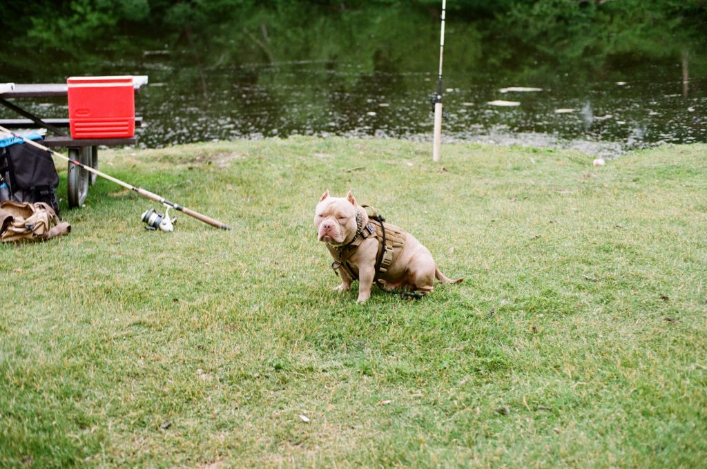 Canon AE-1 Program Canon FD 50mm F1.4 Kodak Pro Image 100