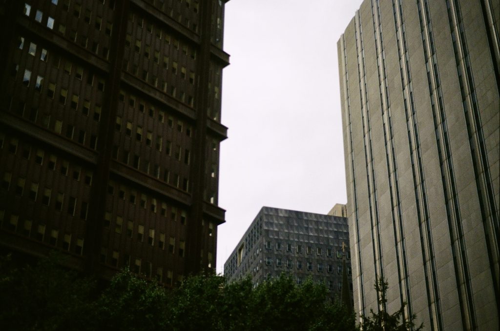 Shot on Pro Image 100 with Minolta XG-1+ 50mm f/2.