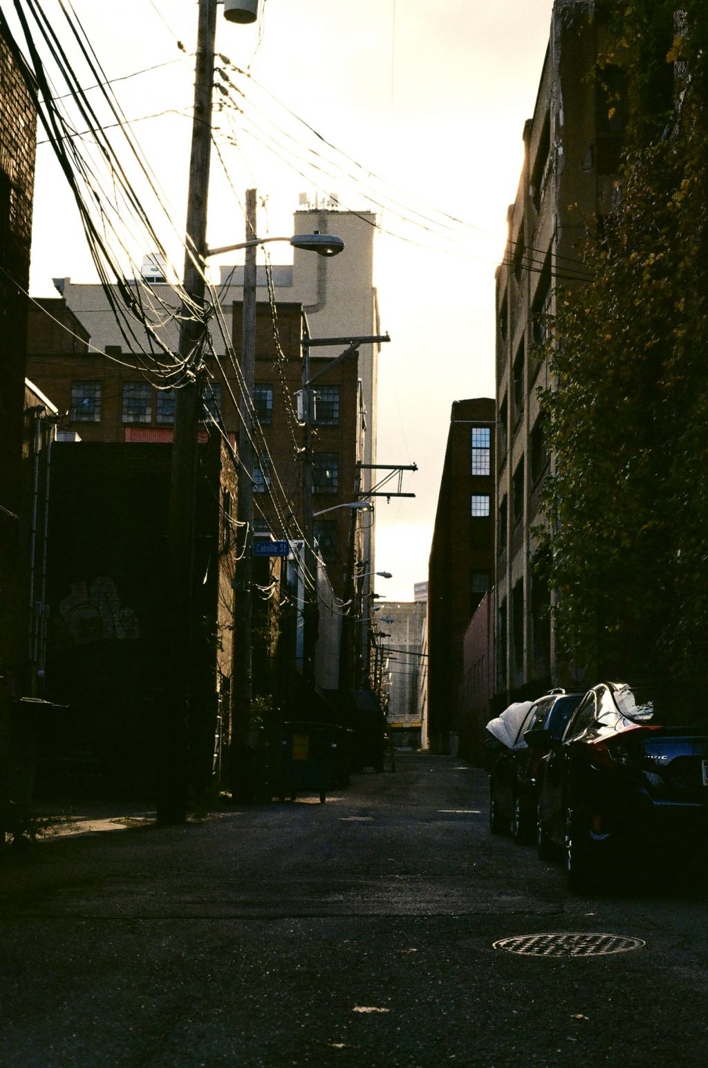 Shot on Pro Image 100 with Minolta XG-1+ 50mm f/2.