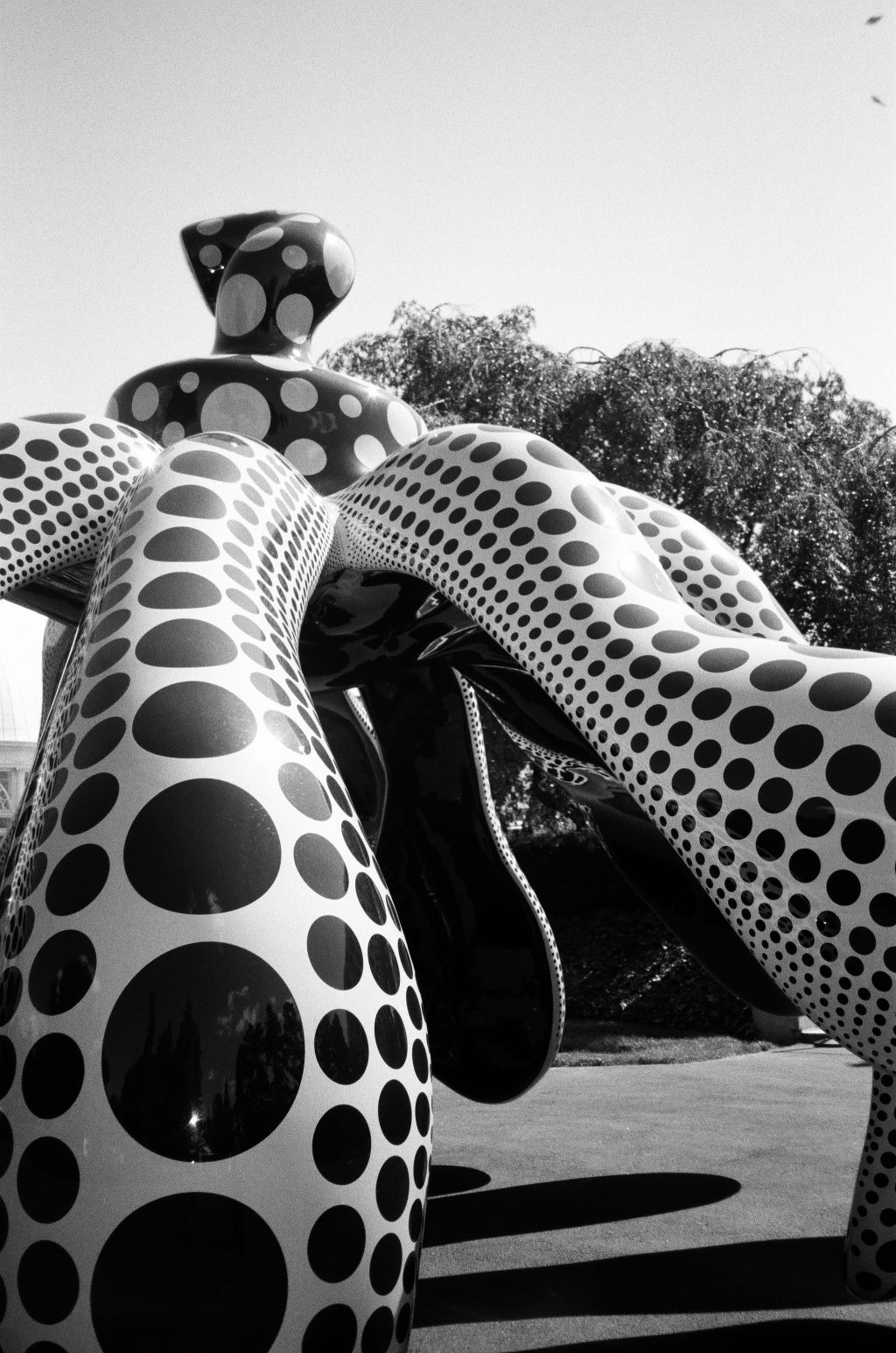 Kusama's "Dancing Pumpkin" in NYBG (shot on Olympus Stylus 120)