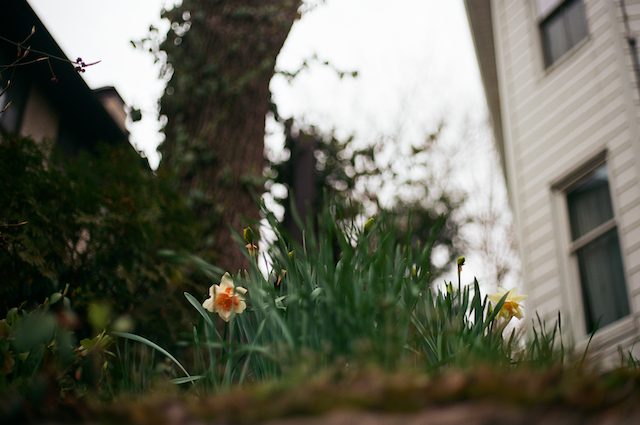 tarrytown, NY with canon ae-1, 50mm 1.8 lens, ektar 100 processed at TDR