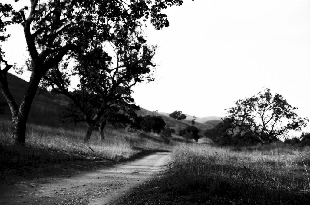 Minolta SRT-102, Lomography Fantome Kino 8, handheld. Developed and scanned by The Darkroom, no post adjustments. @gregtamura