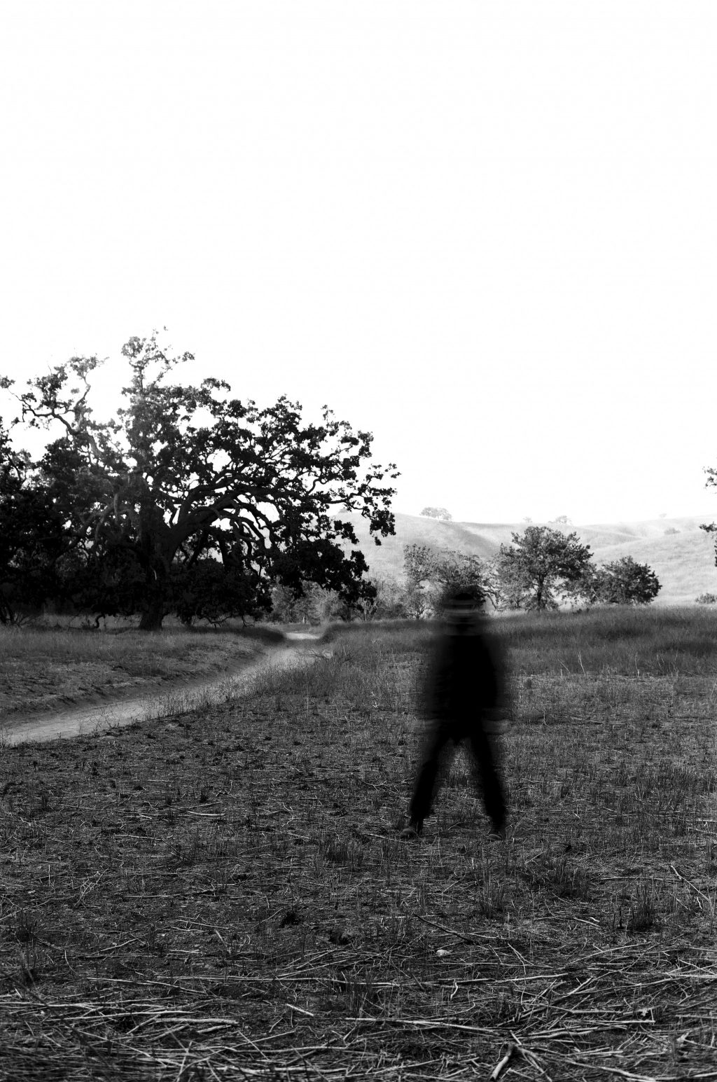 Minolta SRT-102, Lomography Fantome Kino 8, Developed and scanned by The Darkroom, no post adjustments. @gregtamura