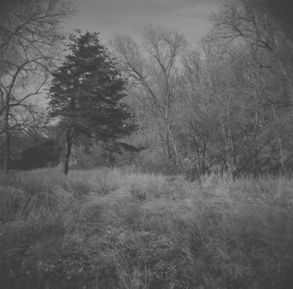 Shot with a Holga 120N (with a Tiffen 49mm Red Filter installed.) Near Osage County, OK.