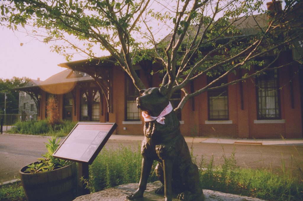 Statue of Hachikō at Woonsocket Depot - 35mm Harman Phoenix II