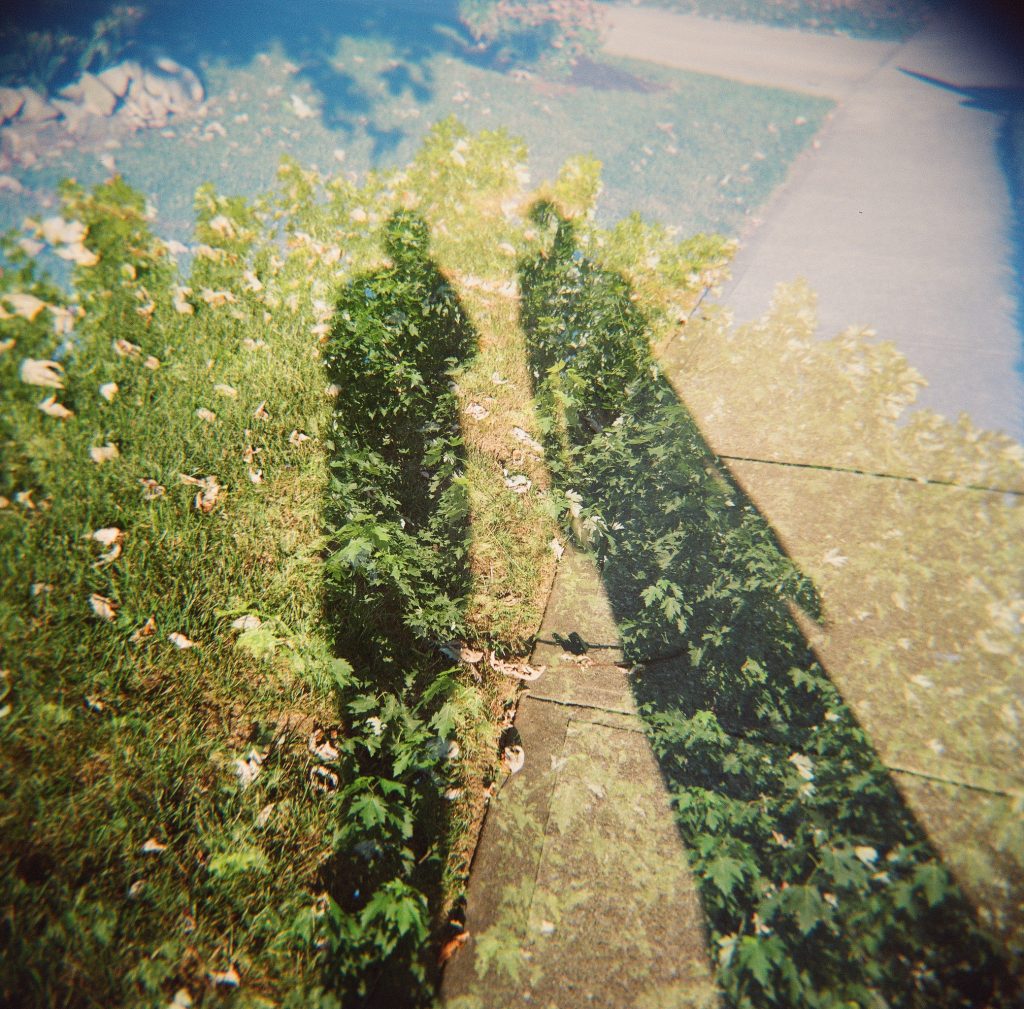 Shot with Holga 120N