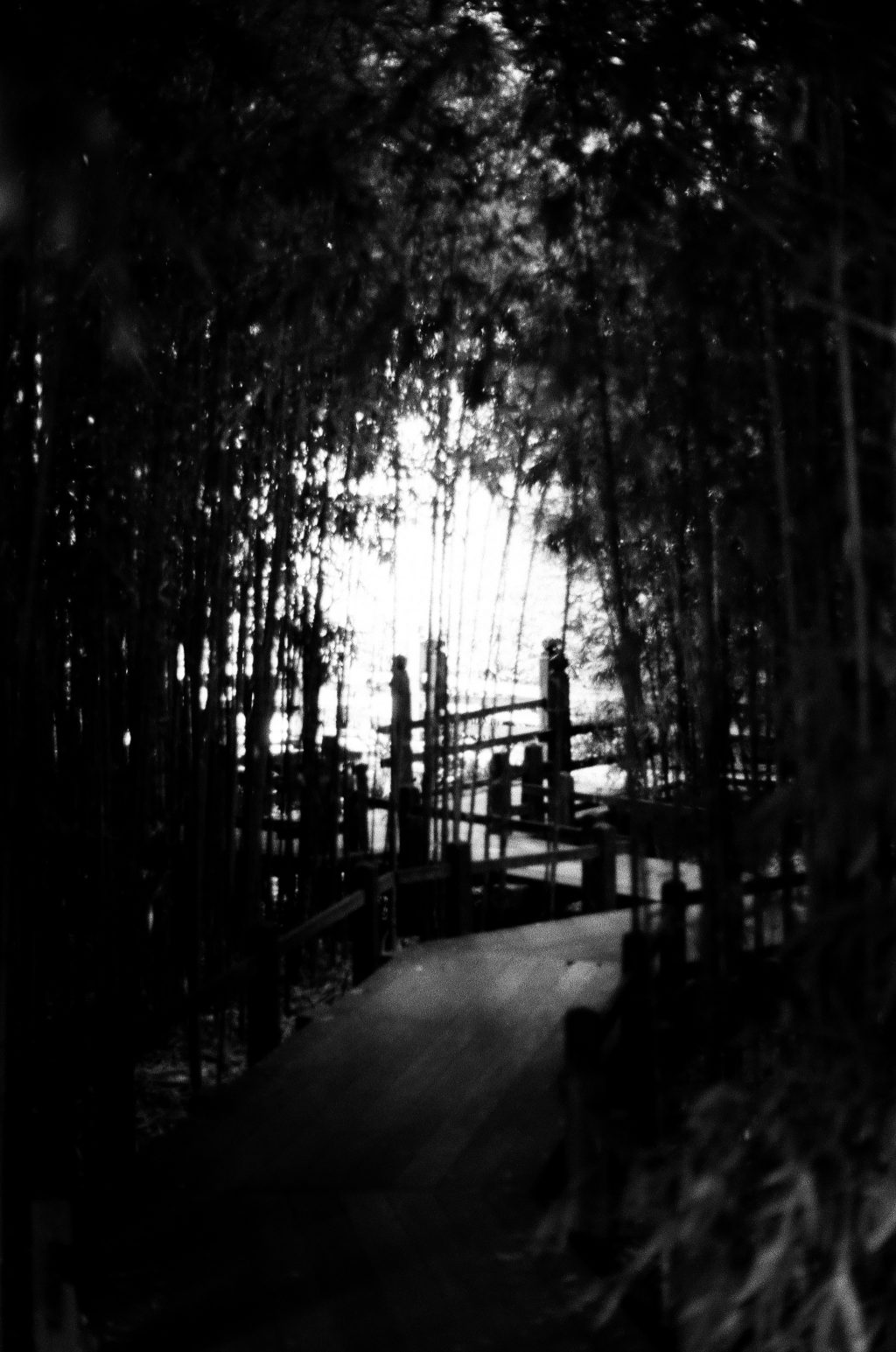 the nature of daylight