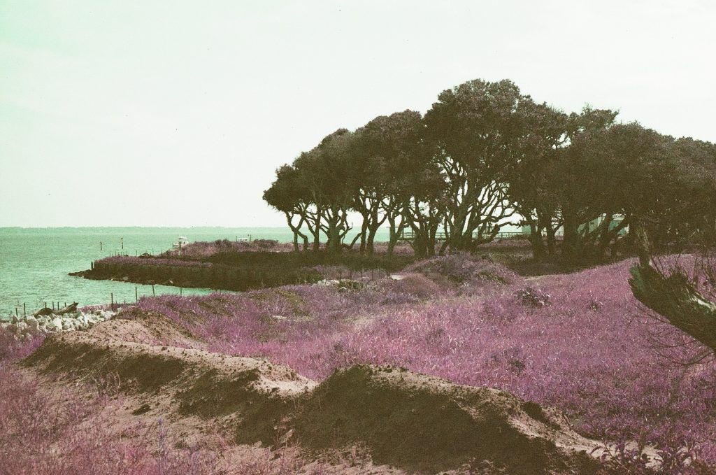 Salter Path, NC with Canon AE-1
