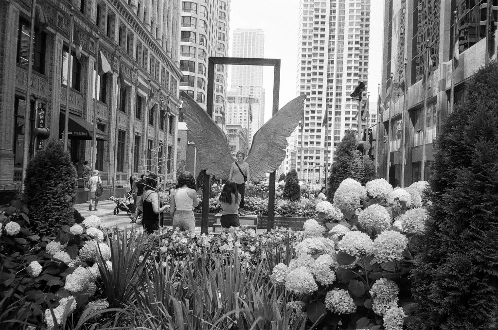 Michicgan Ave Chicago Olympus XA