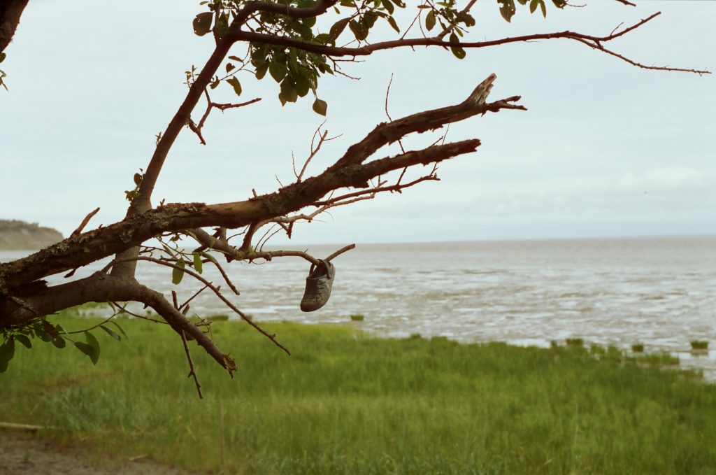 Mamiya MSX 1000 w/ 55mm f1.8 @ f2.8