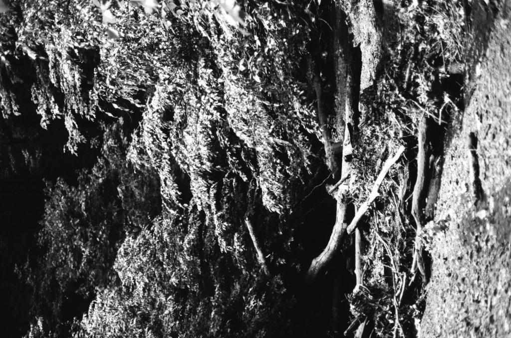 Camping at Brown County, IN