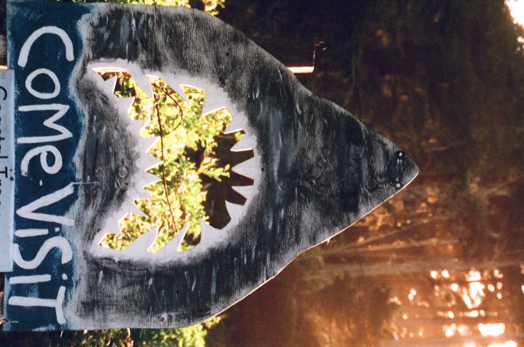 Tamron AF 28-300 3.5-6.3 LD (IF). Bodega Bay, CA.