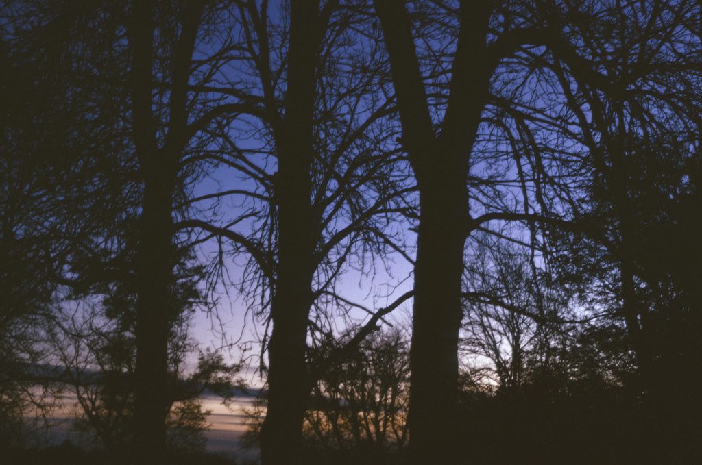 2 second exposure, taken with Yashica FX-7