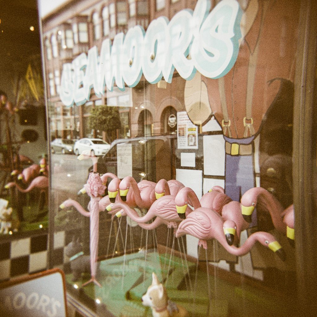 Seamoor's Novelty shop display window, Eureka, CA. Holga 120GCFN.