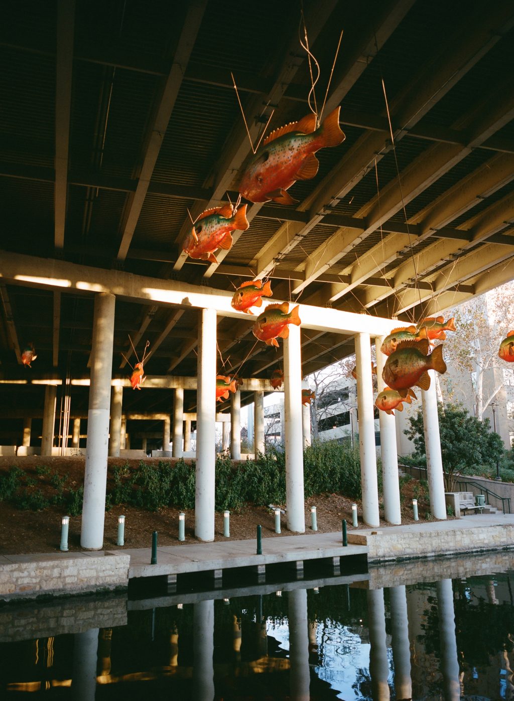 FujiFilm 645wi Super EBC Fujinon 45mm f/4 lens. Portra 400. San Antonio, TX.