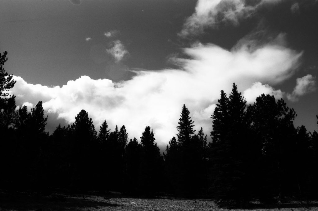 Storm Leaving - Florissant CO Sawmill Trail