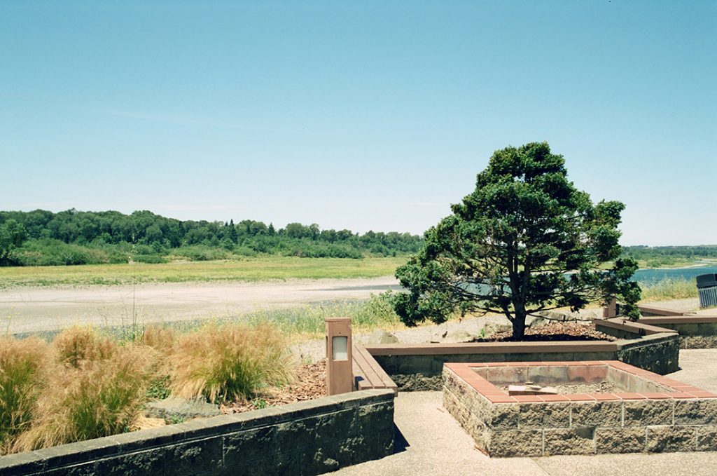 CineStill 50D 35mm film. Nikon N2000, Nikkor 35mm AI lens, Skylight 1-A filter. Along the Eel River, Fortuna, California.
