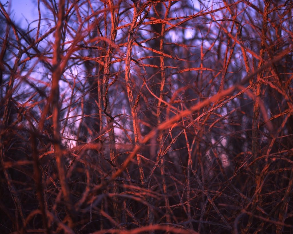 Mamiya RB67, 90mm K/L, handheld @ 1/60th