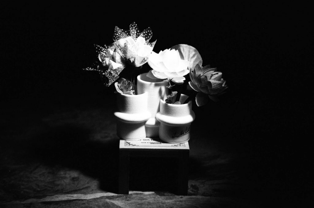 123 Flower Pot-Product Photography.Taken with Leica M3 + MS Optical Sonnatar 50mm F1.1 Lens @ f/4, 1/30 second. Lighting by 13 Watt LED in an adapter with a snoot. Incident Light measered by L308.