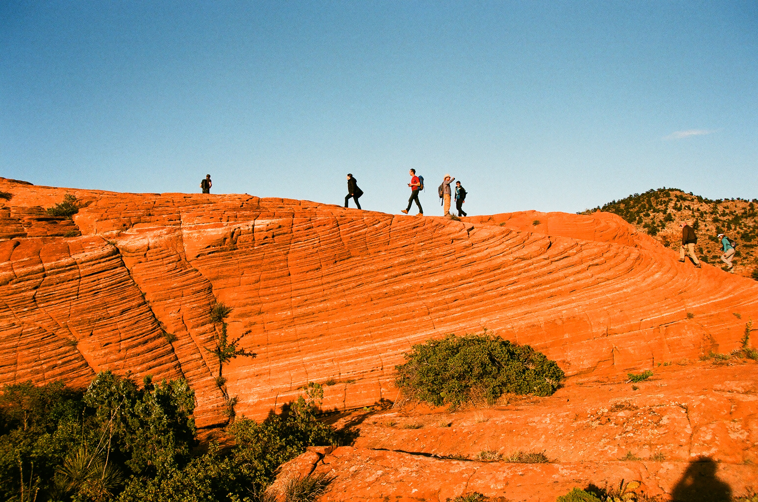 Navajo Sandstone formation (St. George, Utah). Sunset, 2018, Superia 400, probably expired.