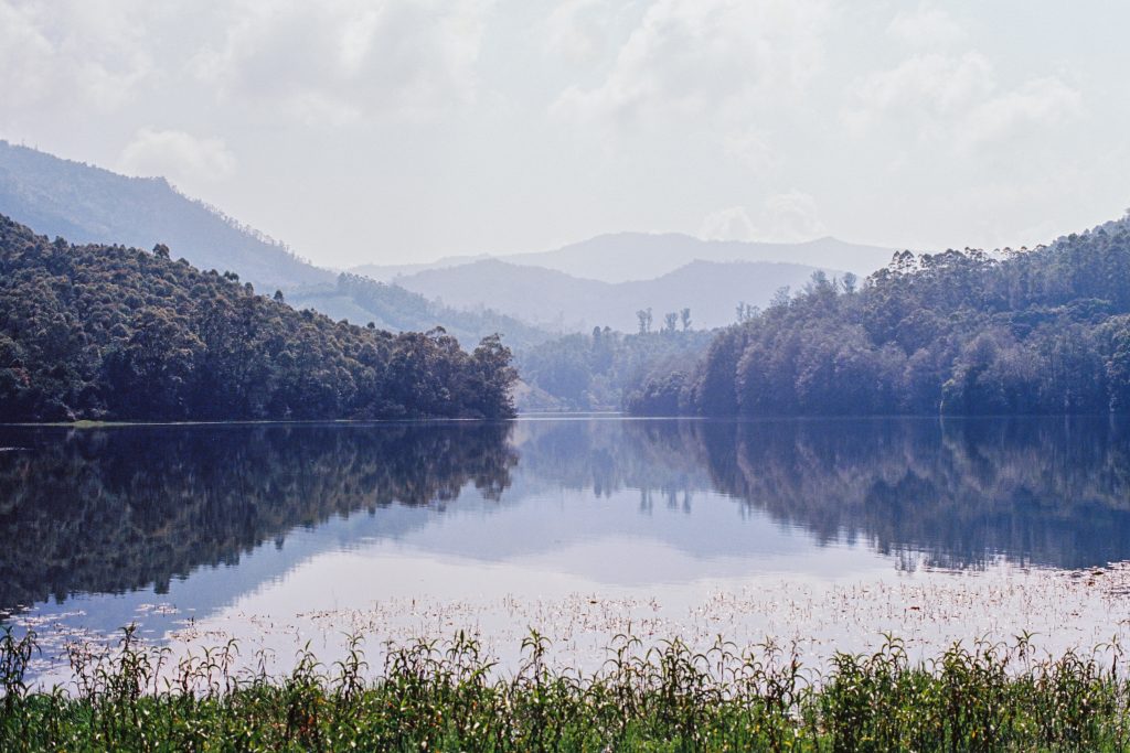Nikon F2 | Munnar, Kerala