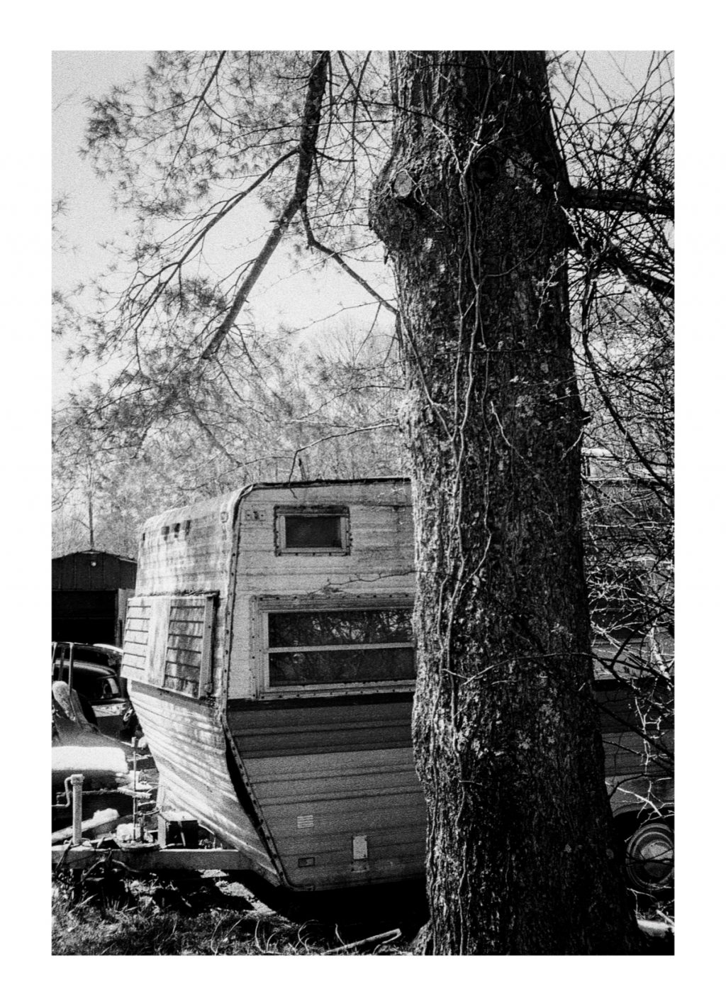 Fujica Half / Cinestill BWXX