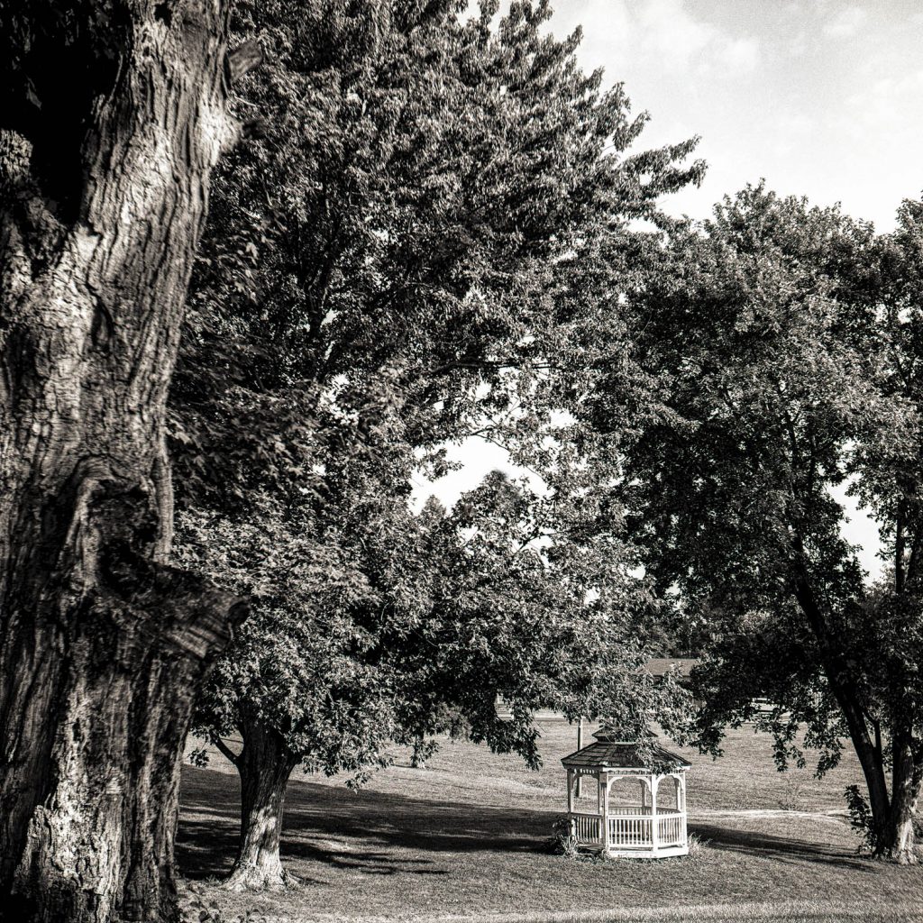 Delta 100 @ 100 HC110 1:47, Pagoda