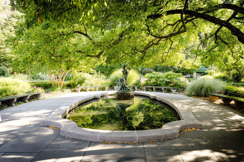 A bright green tree hangs over a small pool of water with a statue of two women.