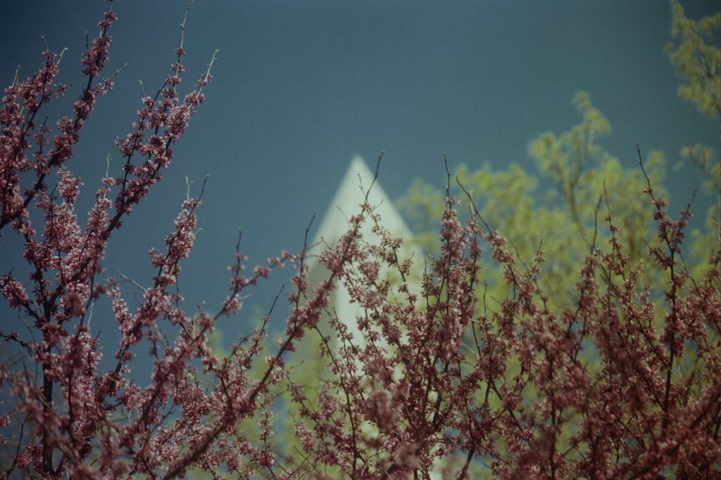 Washington DC Minolta SRT MC Sigma 75-300mm and Rokkor 50mm