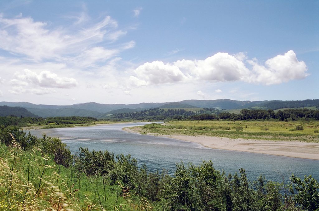 CineStill 50D 35mm film. Nikon N2000, Nikkor 35mm AI lens, Skylight 1-A filter. Along the Eel River, Fortuna, California.