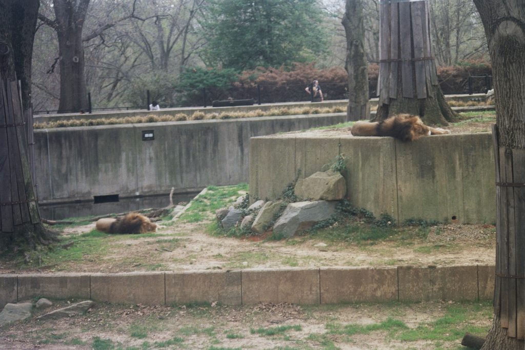 Washington DC Minolta SRT MC Sigma 75-300mm and Rokkor 50mm