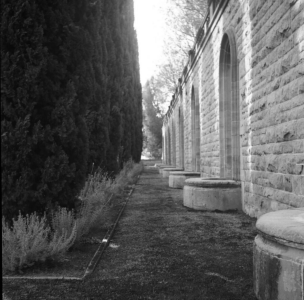 Shot at the Greystone Mansion with my Lubitel 166+.