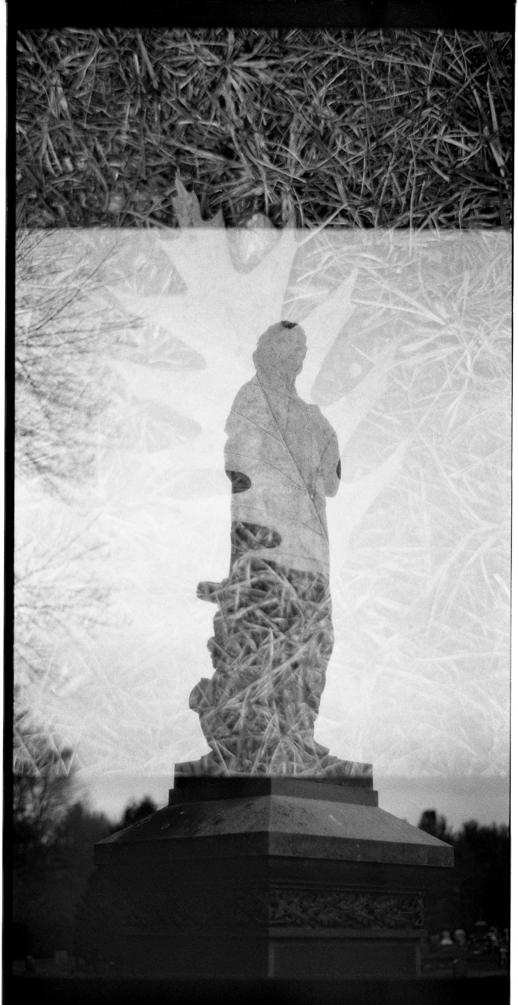 Meant as a double exposure, but came out as a partial double exposure.