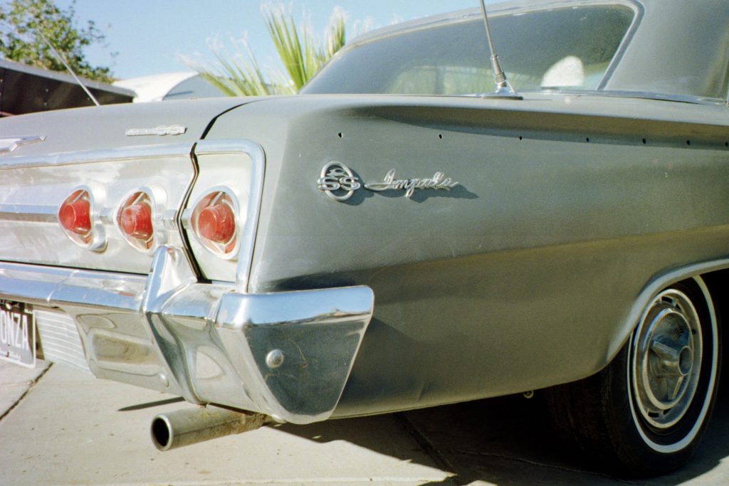 Impala in Arizona