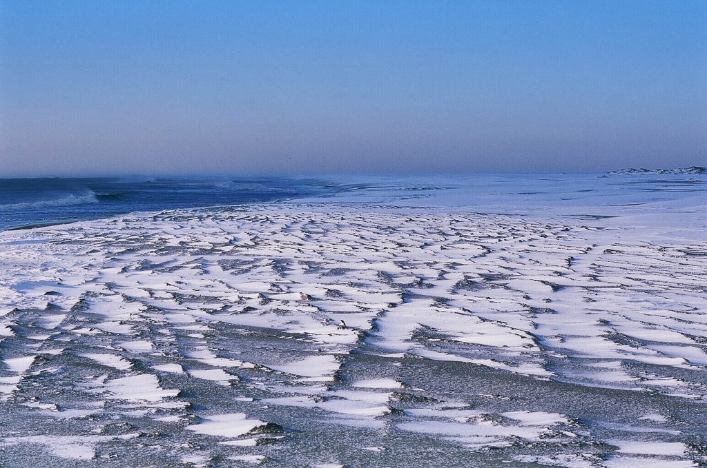 Snowcracoke II Taken with my Nikon F5 and 28mm f2.8 ais lens.