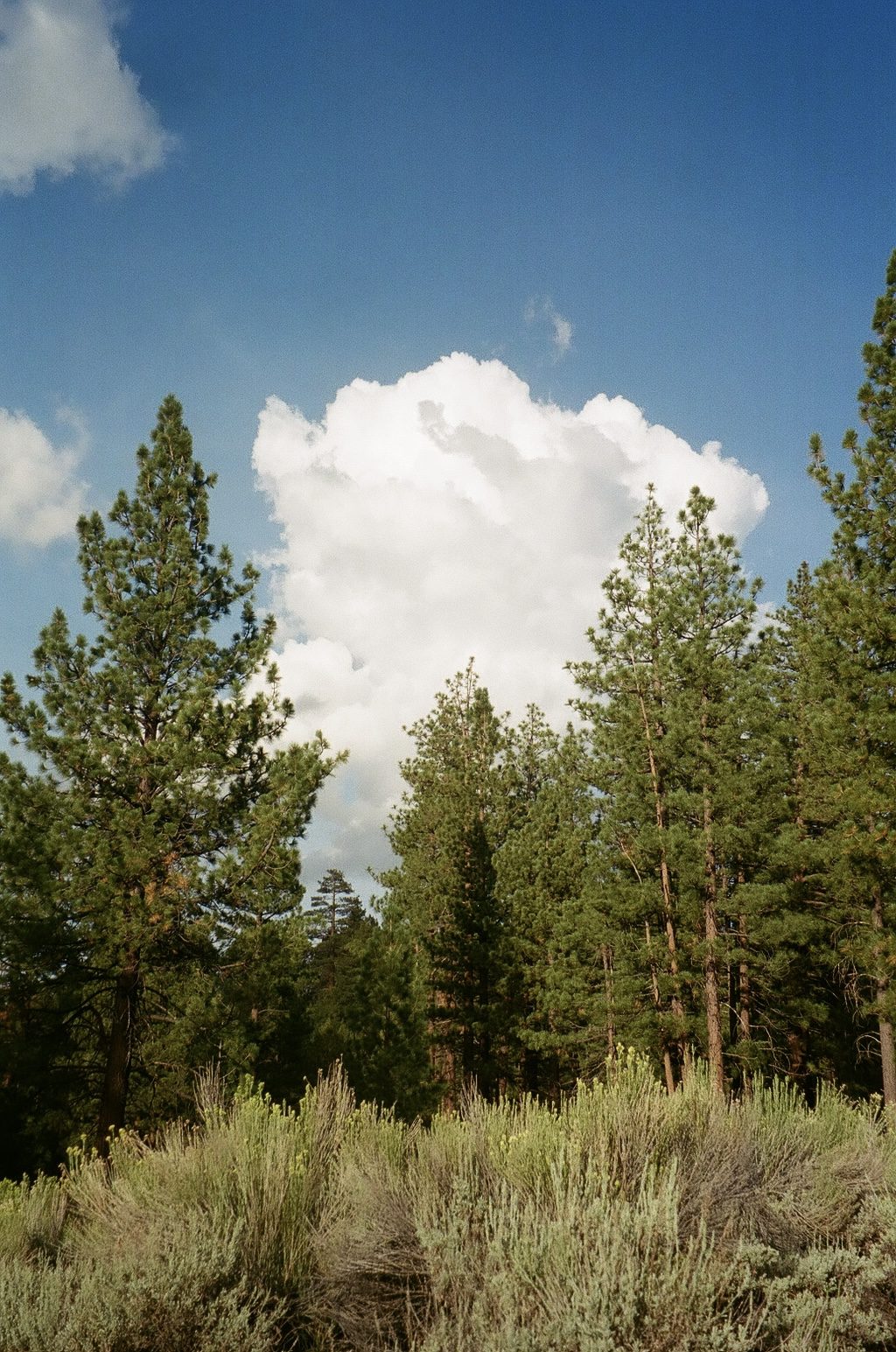 Big Bear CA, Olympus Superzoom70