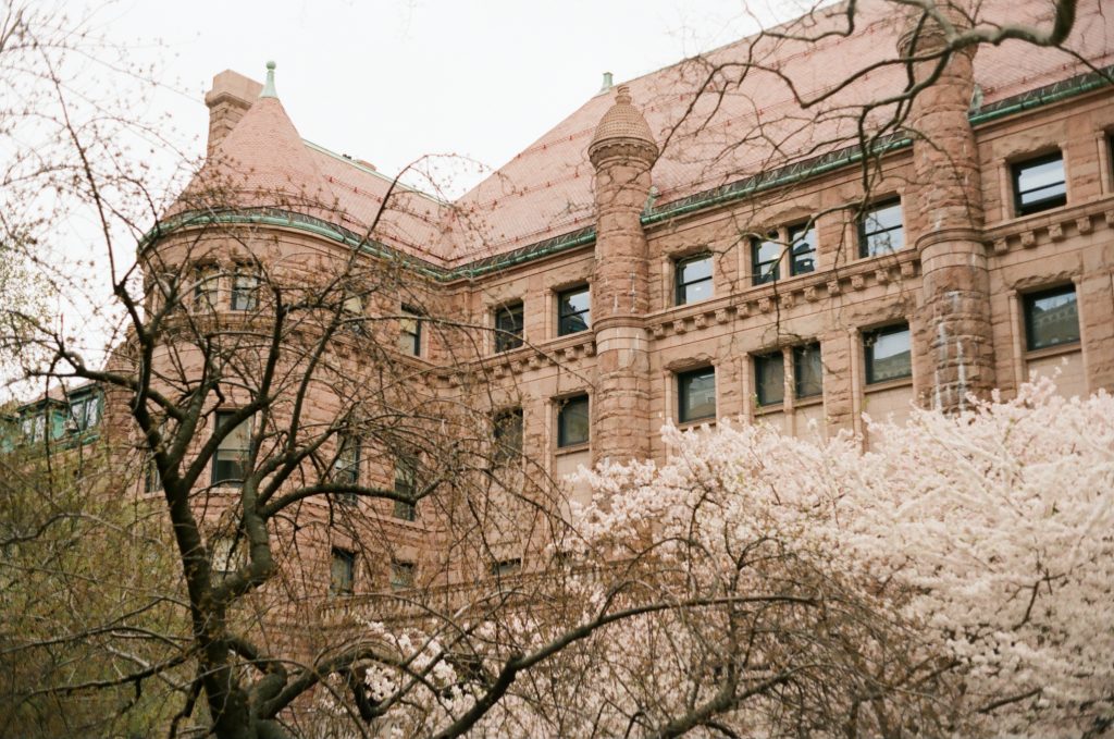 Konica AutoReflex TC