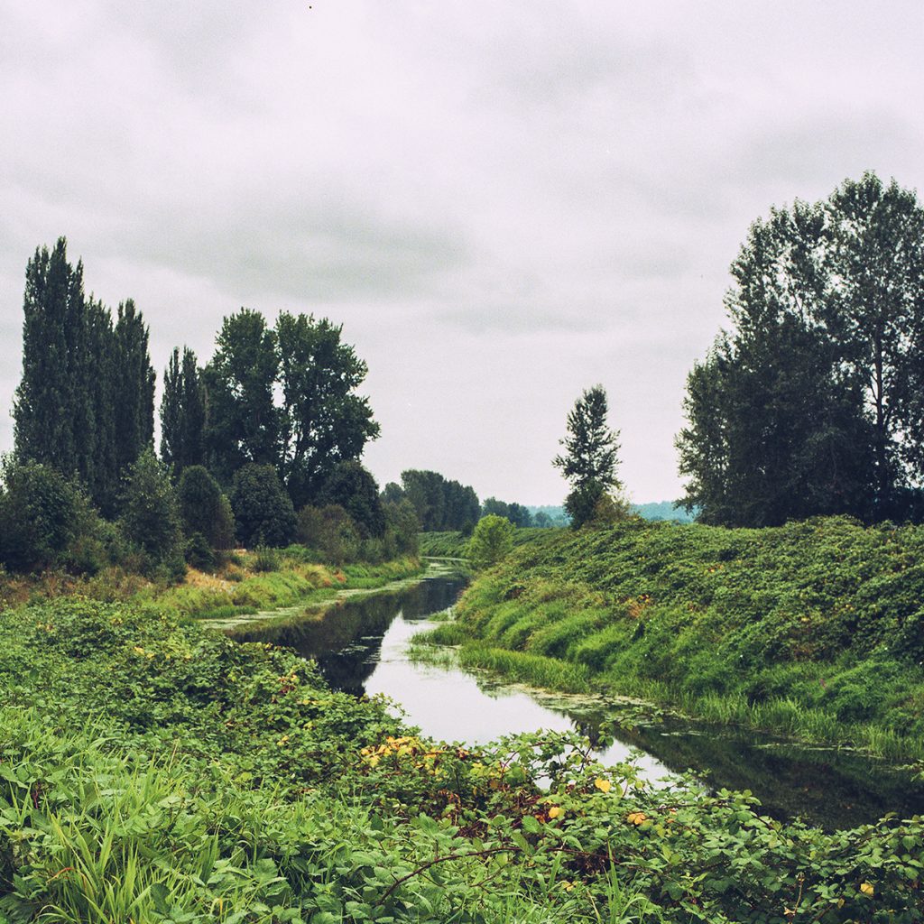 Hasselblad 500 C/M with Zeiss Planar T✻ 80mm f/2.8 on Lomography 800 film