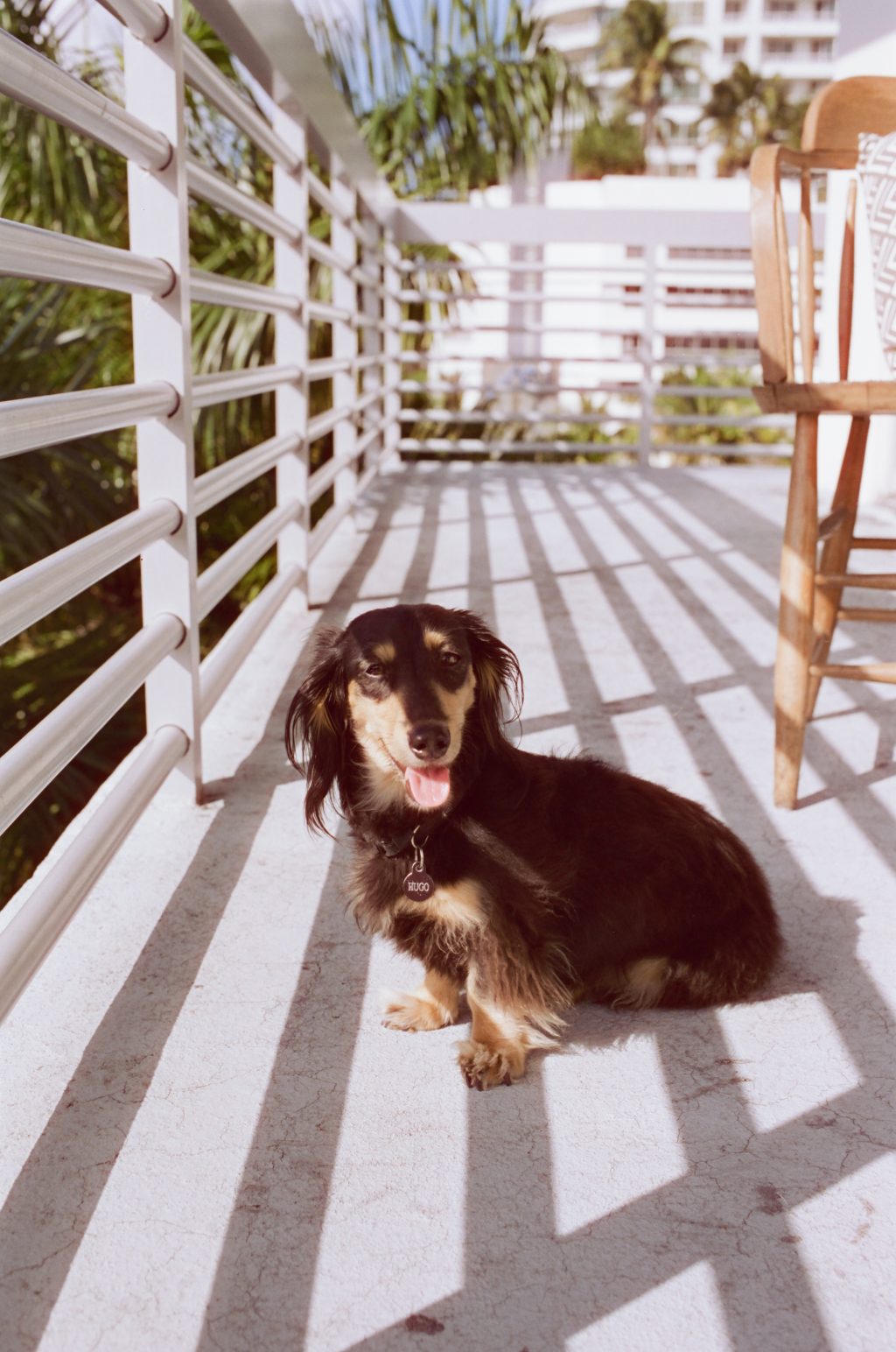 Hugo taken with Canon T2