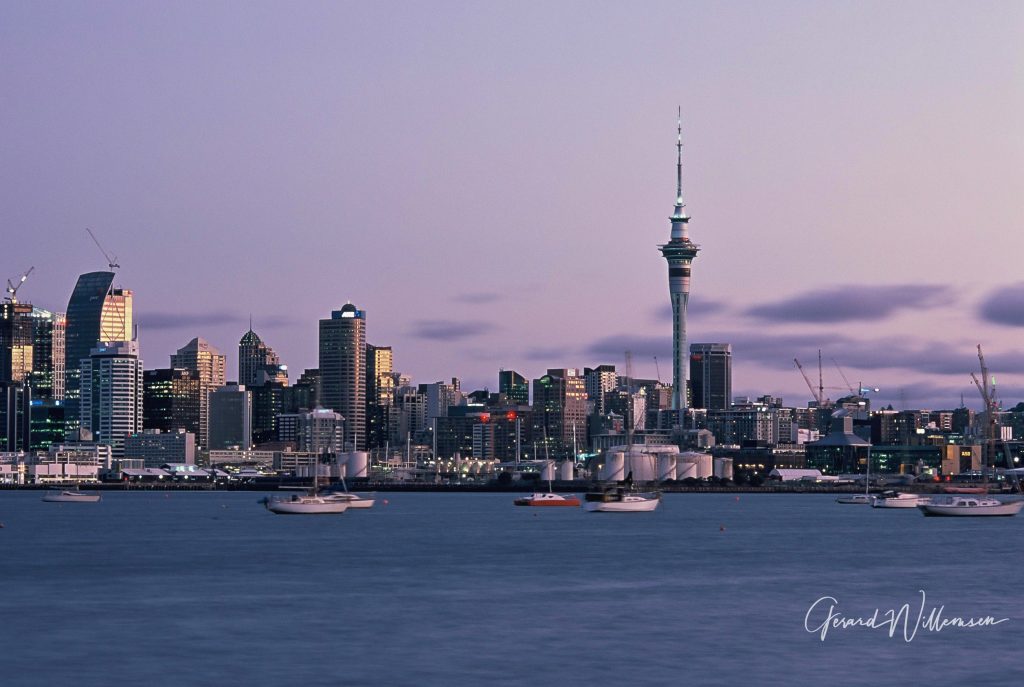 Provia 100, Nikon F6 105mm f2.8 Ai-S lens