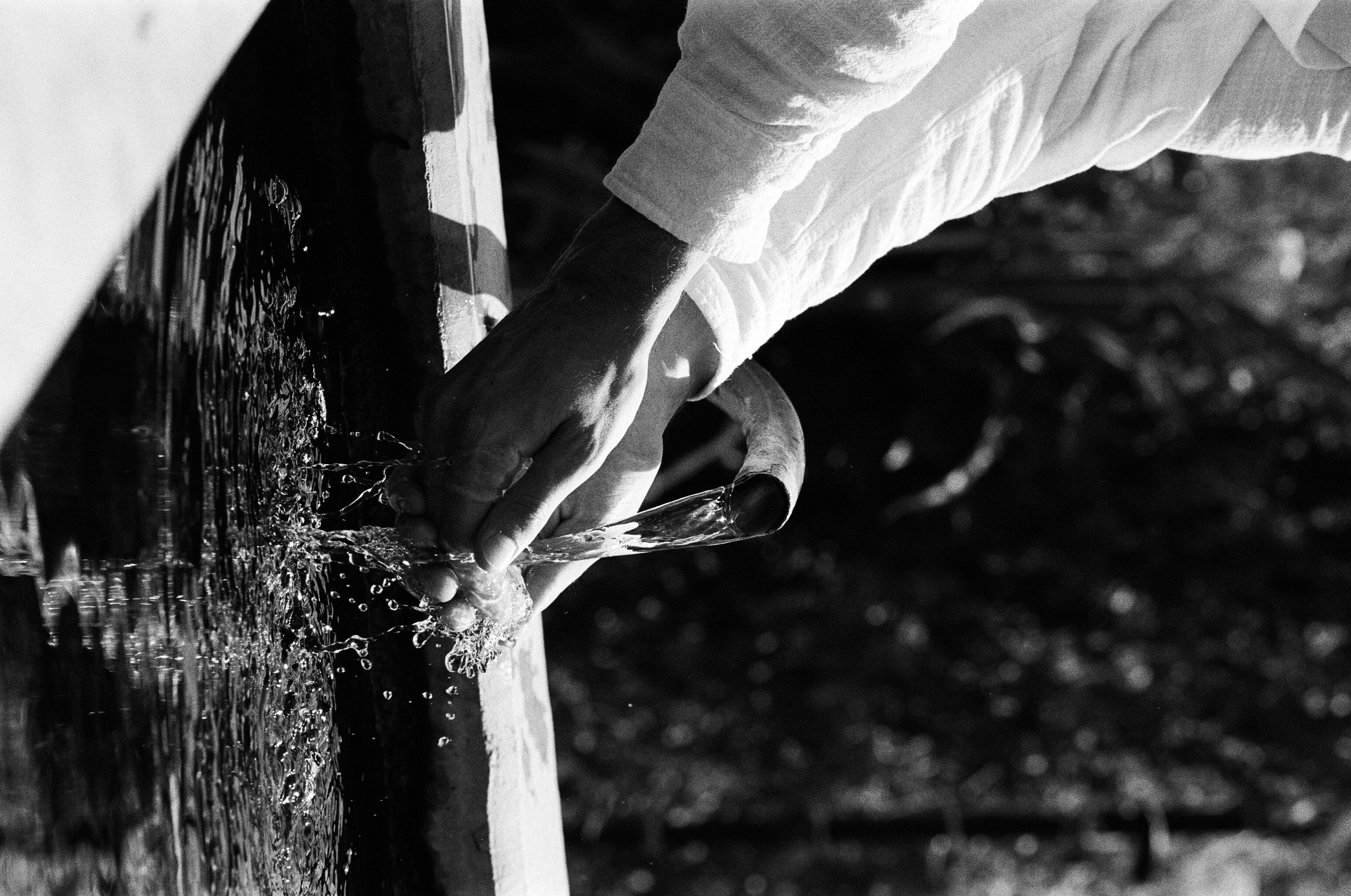 Canon Elan 7, EF 85mm f/1.4L IS USM