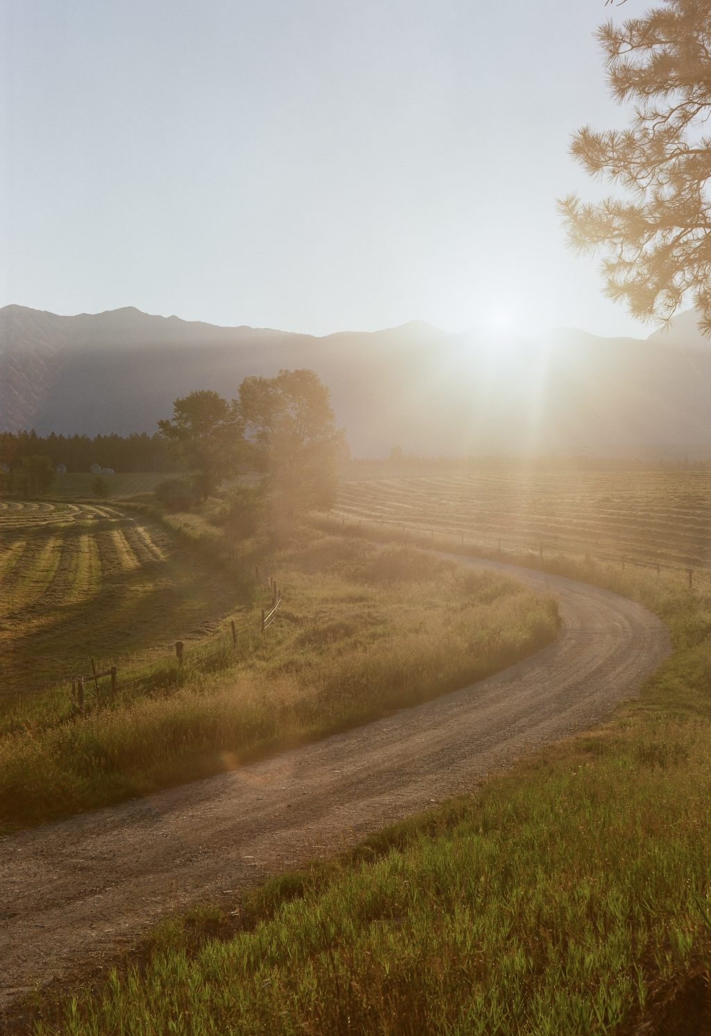 Hay fields near Cranbrook BC