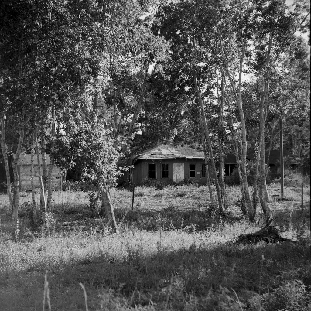 Ilford Delta 100 - Yashica Mat 124