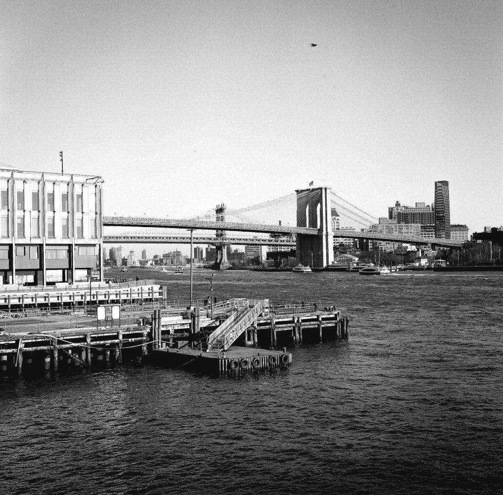 yashica mat 124g + Tmax 400