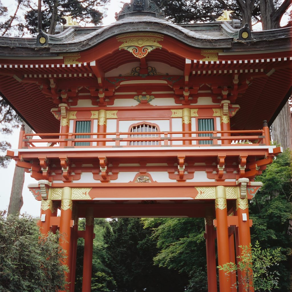CineStill 50D 120, shot on my Rolleiflex T at the San Francisco Japanese Tea Garden