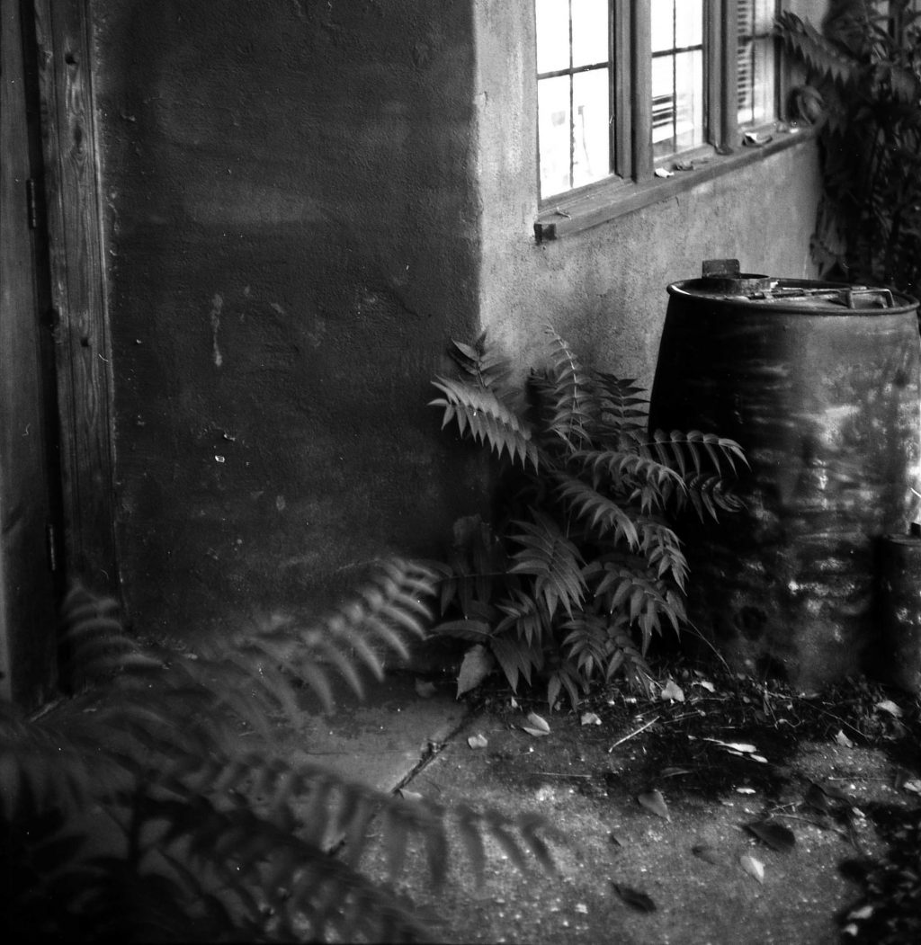 Doorway, Junction City, CA @ 8 ISO